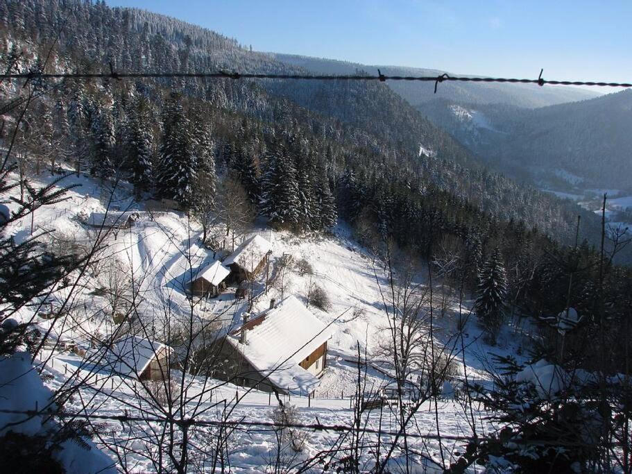 Appartement Dans Vielle Ferme Au Coeur Des Vosges Plainfaing Exterior foto